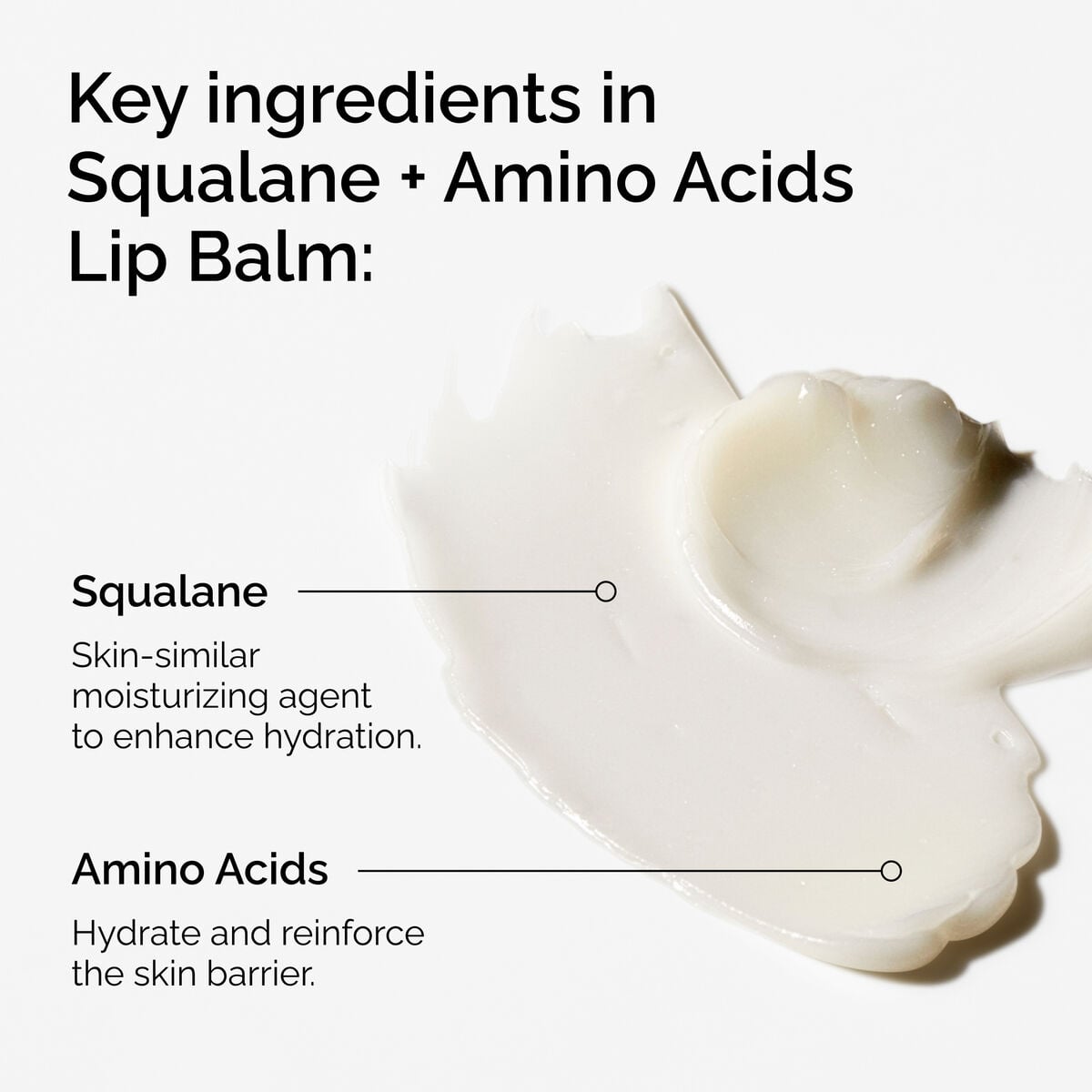 squalane-amino-acids-lip-balm-t5 FY25-D41247-ORD-Web-PDP-Sql-Amino-Lip-1x1-EN-2a.jpg